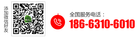 服务热线